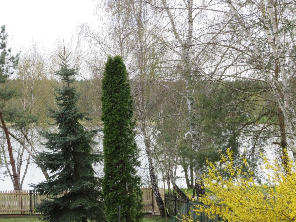 Domek U Jadzi Zwierzyniec ภายนอก รูปภาพ